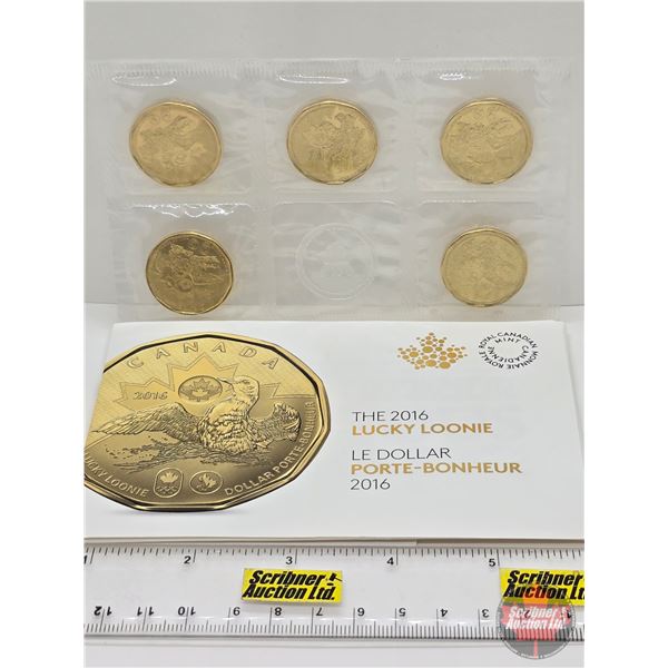 RCM Canada 2016 $1 Circulation Coin - Lucky Loonie Five Coin Pack