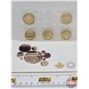 Image 1 : RCM Canada 2017 $1 : 100th Anniversary of Women's Right to Vote : 5-Coin Pack