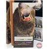 Image 6 : RCM Canada 2004 $8 Limited-Edition Stamp & Fine Silver Coin Set : The Great Grizzly (#21469 of 25888