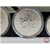 Image 5 : RCM Canada 2004 Fine Silver 5-Coin Set : Privy Mark Set One Ounce ; 1/2 Ounce 1/4 Ounce; 1/10 Ounce;