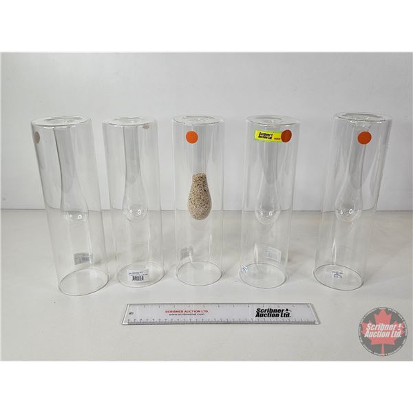 Fantastic Craft Clear Glass Vases (5) (Measures : 12"H)