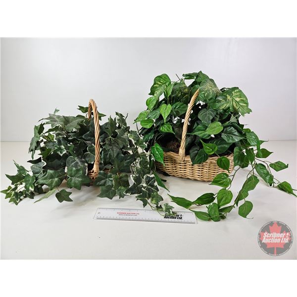 Artificial Plants w/Baskets (2)  (Largest Basket : 13"H)