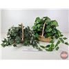 Image 1 : Artificial Plants w/Baskets (2)  (Largest Basket : 13"H)
