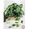Image 5 : Artificial Plants w/Baskets (2)  (Largest Basket : 13"H)