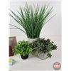 Image 2 : Trinket Box w/Artificial Plants (3) (Box Measures : 4"H x 10"W x 8-1/4"D)