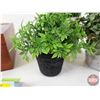 Image 3 : Trinket Box w/Artificial Plants (3) (Box Measures : 4"H x 10"W x 8-1/4"D)