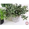 Image 4 : Trinket Box w/Artificial Plants (3) (Box Measures : 4"H x 10"W x 8-1/4"D)