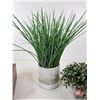 Image 5 : Trinket Box w/Artificial Plants (3) (Box Measures : 4"H x 10"W x 8-1/4"D)