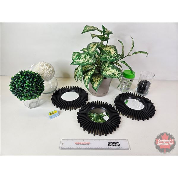 Artificial Plants, Wall Mirror Décor & Lidded Glass Tumbler