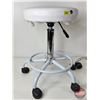 Image 3 : Salon Swivel Adjustable Rolling Stools (2)