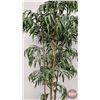 Image 2 : Artificial Tree in Planter  (Approx Height : 82")