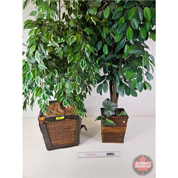 Artificial Trees in Planters (2) (Largest Approx Height : 48")