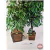 Image 1 : Artificial Trees in Planters (2) (Largest Approx Height : 48")