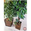 Image 2 : Artificial Trees in Planters (2) (Largest Approx Height : 48")