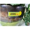Image 4 : Artificial Potted Plants (2)