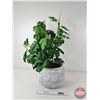 Image 3 : Artificial Potted Plant  (Total Measures : 30"H)