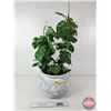 Image 4 : Artificial Potted Plant  (Total Measures : 30"H)