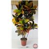 Image 2 : Silk Potted Tree (54"H)
