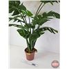 Image 2 : Green Artificial Monstera Plant (potted in a plastic pot) (Total 40"H)