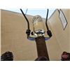 Image 7 : Canoe Electric Table Lamp : Crestview Collection (Total Measures: 32"H)