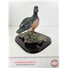 Image 4 : Wood Duck Figurine from the Shannon Collection w/Original Box (Box Measures : 10"H x 9-1/2"W x 9-1/2
