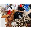 Image 6 : Wooden Crate Lot : Beanie Baby Collection (25)  (Crate Measures : 10-1/2"H x 19"W x 12"D)