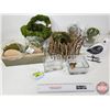 Image 1 : Combo (14pcs) : Moss & Glass Ornaments