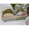 Image 6 : Combo (14pcs) : Moss & Glass Ornaments