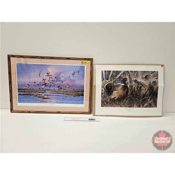 Framed Print : Autumn Wings by Phillip Growe (5000/5300) & Print : New Homesteader by Darren Haley (