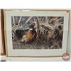 Image 9 : Framed Print : Autumn Wings by Phillip Growe (5000/5300) & Print : New Homesteader by Darren Haley (