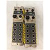 Image 1 : (2) Balluff #BNI0052 / #BNI PNT-302-105-Z015 1732HU