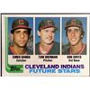 Image 1 : 1982 TOPPS VON HAYES ROOKIE CARD