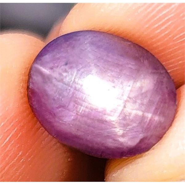 9.06 ct Certified Burmese Star Ruby gemstone Untreated ($18,120 Appraisal)