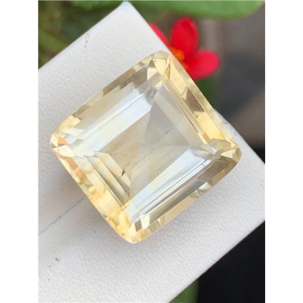 23.1 ct Certified Heliodor gemstone ($16,750 Appraisal)