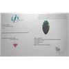 Image 3 : 12.75 ct Certified Zambian Emerald gemstone ($17,050 Appraisal)