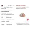 Image 3 : 19.23 ct Certified Collectors Opal gemstone ($12,019 Appraisal)