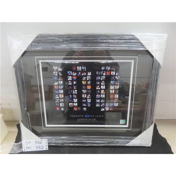 Signed Framed Johnny Bower Toronto Maple Leafs Frame