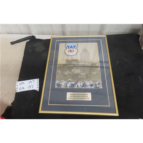 Framed Blue Bombers 2010 Corporate Sponsor Photo 10" x 16"