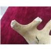 Image 5 : Hand Crafted Antler Bottle Opener,  Cubic Zirconia Stud Earrings +