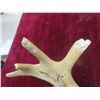 Image 6 : Hand Crafted Antler Bottle Opener,  Cubic Zirconia Stud Earrings +