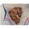 Image 4 : 1001 Pennies Counted by Consignor