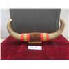 Image 1 : Polished Steer Horns Mounted On Wooden Base With Approximately 19" Spread