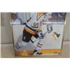 Image 3 : Lemieux Hockey Photo 1992, 16 x 20