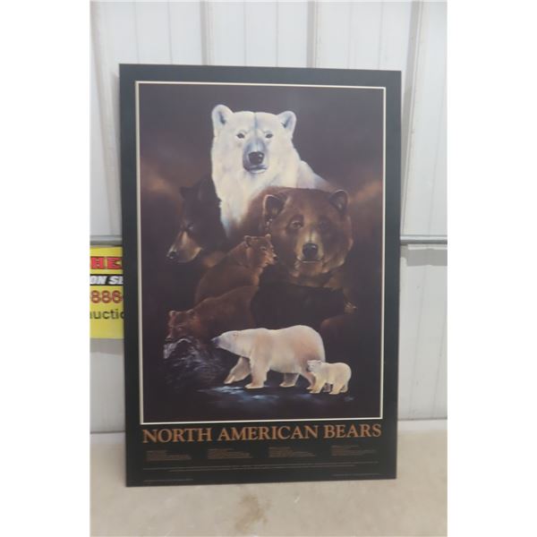North American Bears on Hardboard, 24 x 36