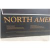 Image 6 : North American Bears on Hardboard, 24 x 36