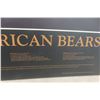 Image 7 : North American Bears on Hardboard, 24 x 36