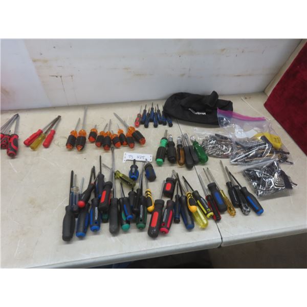 Large Screwdriver and Tool Bit Assortment, Drill Bits, Allen Keys