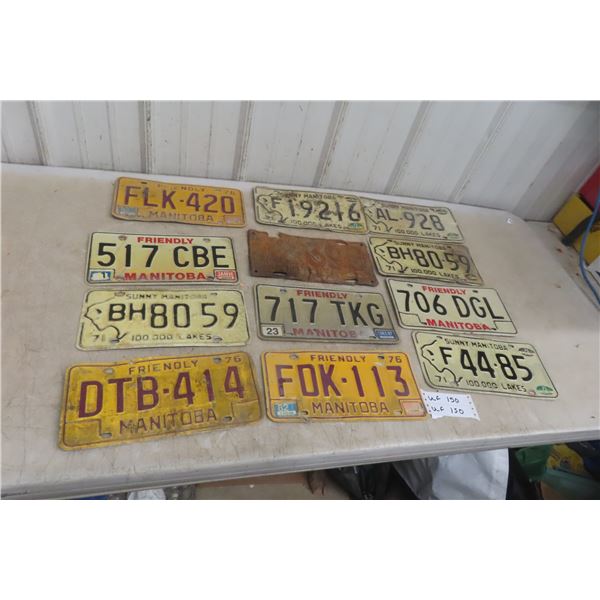 Twelve Manitoba License Plates