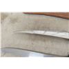 Image 6 : 6x Pocket Folding Knives