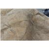 Image 6 : Buffalo Hide 70" x 80".
